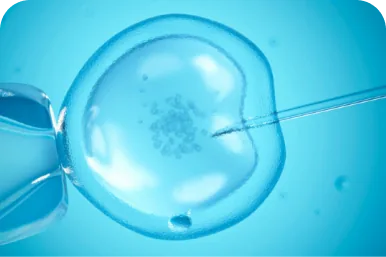 in-vitro