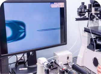in-vitro