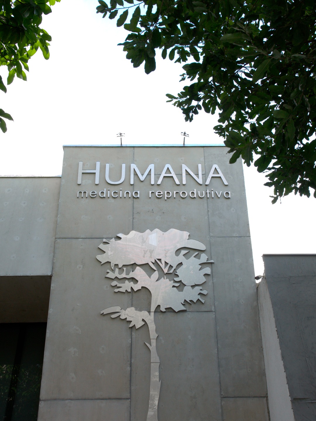 Publicação do Instagram da Humana Medicina Reprodutiva