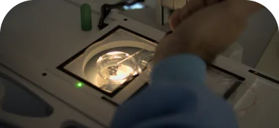 Laboratório ISO 5